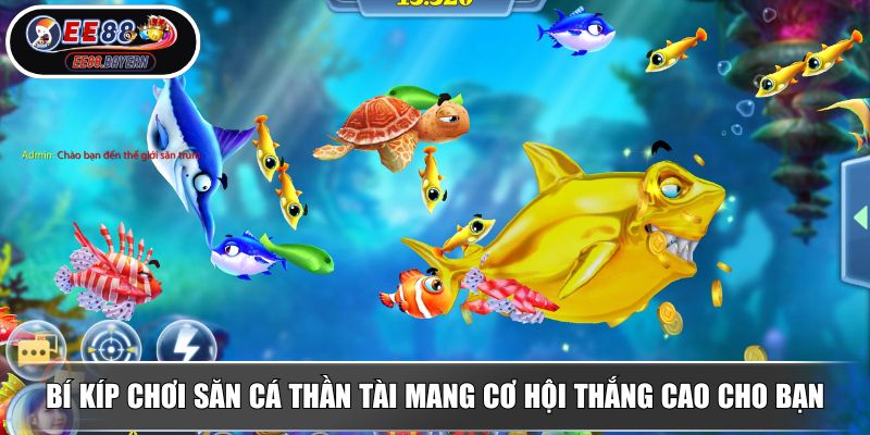 Bắn Cá Thần Tài - Tựa Game Săn Xu Hấp Dẫn Cơ Hội Thắng Cao 4 Bí kíp chơi săn cá Thần Tài mang cơ hội thắng cao cho bạn