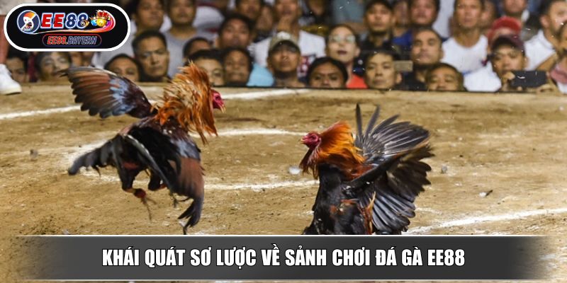 Khái quát sơ lược về sảnh chơi đá gà EE88