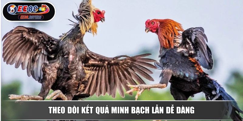 Theo dõi kết quả minh bạch lẫn dễ dàng