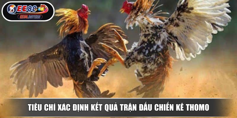 Đá Gà Thomo - Đấu Trường Chiến Kê Kịch Tính Nhất 2025 4 Tiêu chí xác định kết quả trận đấu chiến kê Thomo