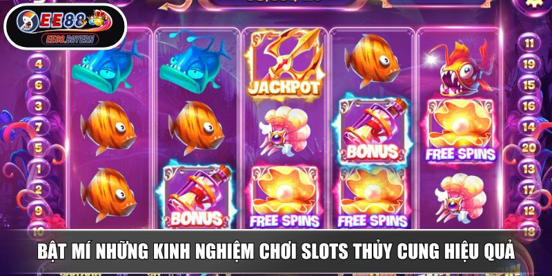 Nổ Hũ Thủy Cung EE88 - Săn Kho Báu Đại Dương Nhận Thưởng Lớn 4 Bật mí những kinh nghiệm chơi slots Thủy Cung hiệu quả