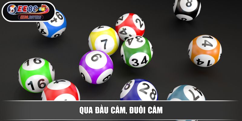 Soi Cầu 247 - Phương Pháp Soi Cầu Chính Xác Và Hiệu Quả Tại EE88 4 Qua đầu câm, đuôi câm
