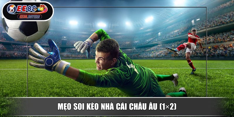 Soi Kèo Nhà Cái - Hướng Dẫn Chi Tiết Và Tính Năng Hỗ Trợ Từ EE88 3 Mẹo soi kèo nhà cái châu Âu (1×2)