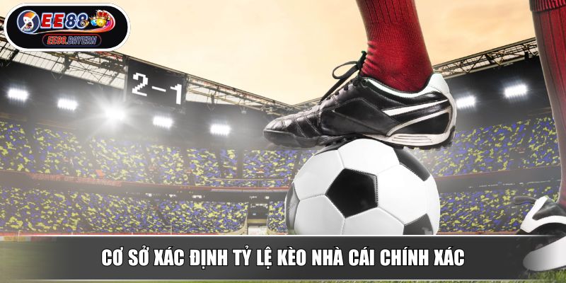 Tỷ Lệ Kèo Nhà Cái - Cách Phân Tích Để Soi Kèo Hiệu Quả Từ EE88 2 Cơ sở xác định tỷ lệ kèo nhà cái chính xác